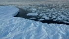 La NASA revela datos alarmantes sobre el deshielo en la Antártida