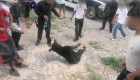 Piden sancionar a policías que no detuvieron tortura de oso en México