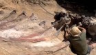 El colosal descubrimiento de restos de dinosaurios en Europa