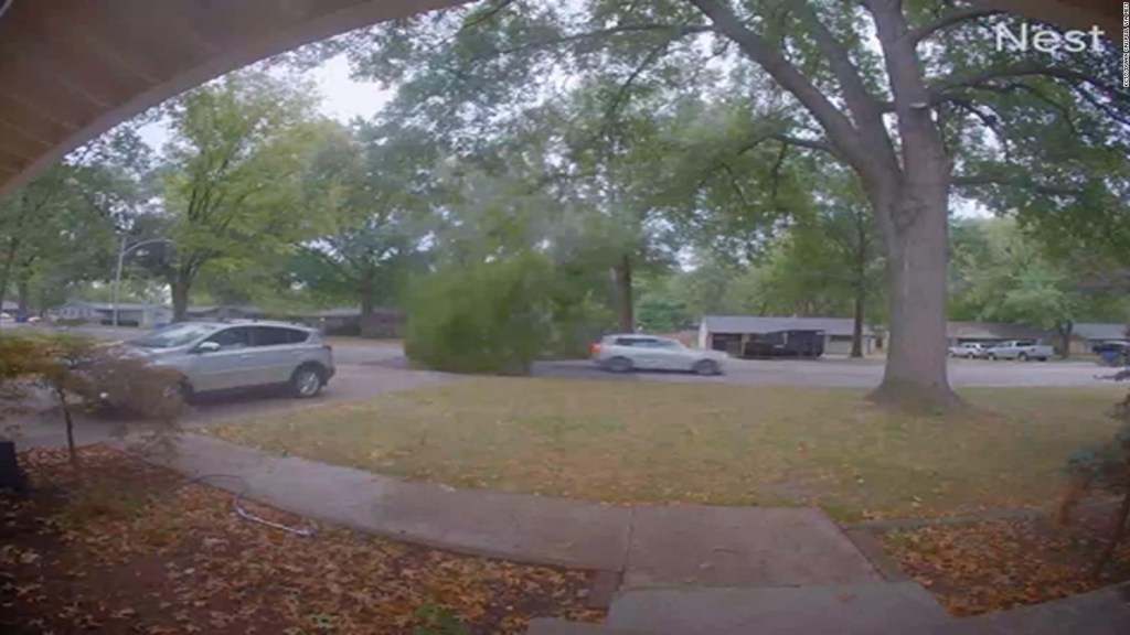 Un árbol casi aplasta a conductor en Kansas y queda captado en video