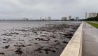 El huracán Ian succiona buena parte del agua de la bahía de Tampa Bay