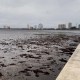 El huracán Ian succiona buena parte del agua de la bahía de Tampa Bay