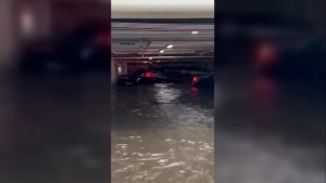 Huracán Ian: autos flotan en estacionamiento tras inundaciones