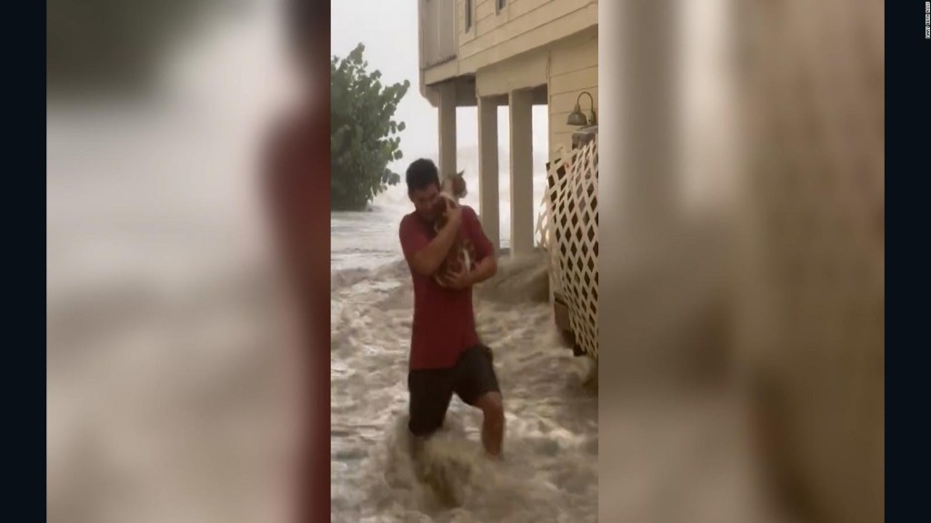 Joven rescata a un gato en medio del huracán Ian