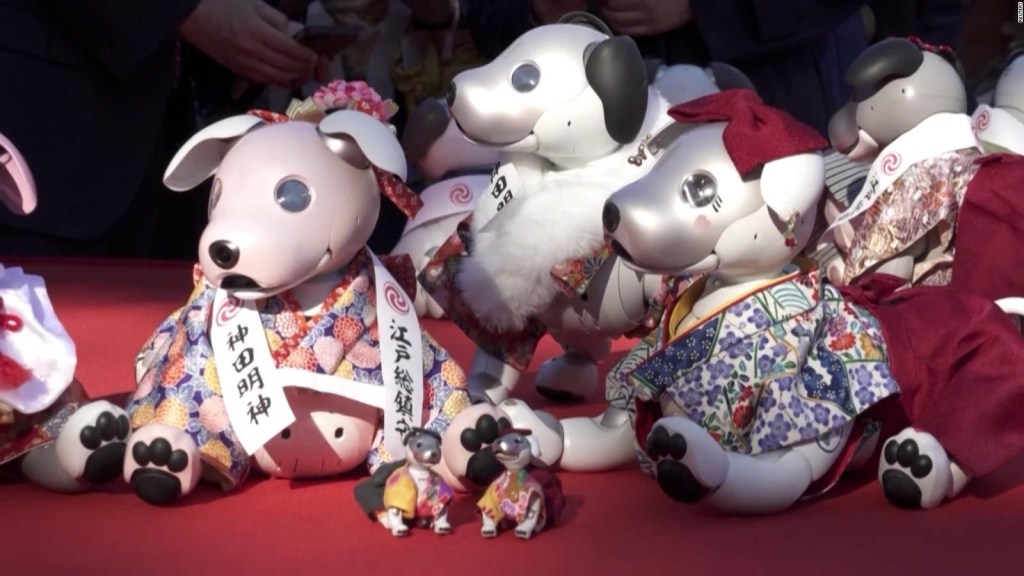Cientos de personas asisten a un ritual por la salud de sus perros robot
