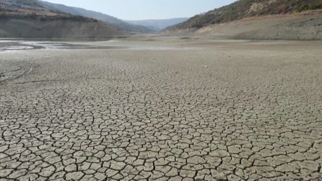 Informe alerta de la escasez de agua que vive el planeta