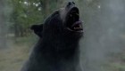 "Cocaine Bear", la película de un oso que inhala cocaína se hace viral
