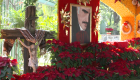 El homenaje a Vicente Fernández a un año de su muerte