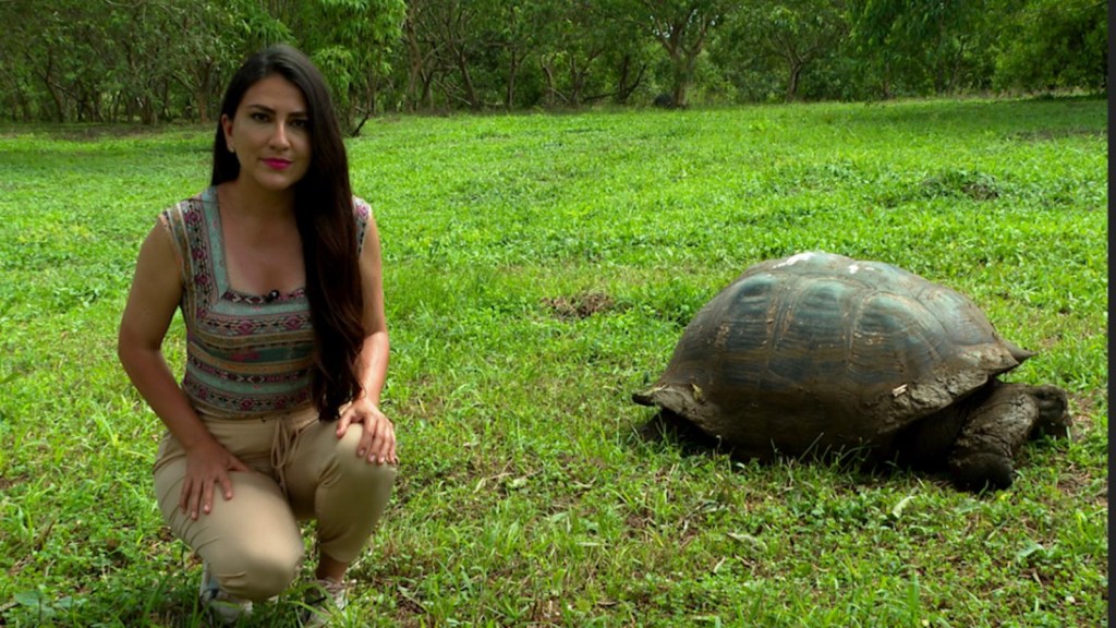 Documental de CNN en Español sobre Galápagos recibe premio en Ecuador