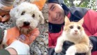 Así salvaron a un perro y un gato de los escombros en Turquía