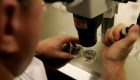 Fecundación in vitro: ¿escogerías embriones por aptitudes intelectuales?