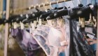 ¿Cuánto más pagan las mujeres por su ropa interior en EE.UU.?