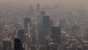 Alergias en Ciudad de México, ¿por qué son tan frecuentes?