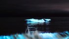 Las costas de Mar del Plata se volvieron fluorescentes