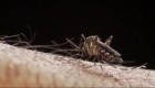 ¿Cómo evitar contagiarse de dengue?