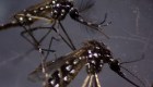 América Latina, en alerta por brote de dengue