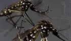 Aprueban vacuna contra el dengue en Argentina: ¿quiénes podrán recibirla?