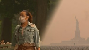 ¿Cómo nos afecta la mala calidad del aire?